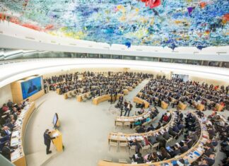 Stans tvangsbehandlingen i psykisk helsefeltet stopp tvangslovgivningen i psykisk helsefeltet