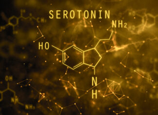 Serotonin-hypotesen for fall