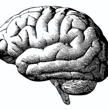 Innenfra det nevro-vitenskapelige fagmiljø: Peter Sterling svarer Awais Aftab