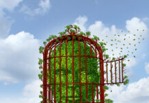 Tvang i psykiatrien – hvorfor tvang aldri kan fremme heling