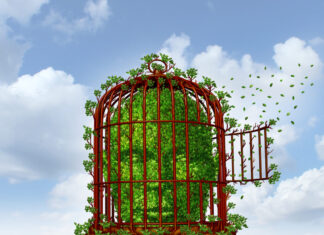 Tvang i psykiatrien – hvorfor tvang aldri kan fremme heling