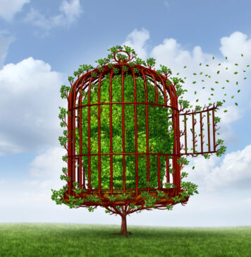 Tvang i psykiatrien – hvorfor tvang aldri kan fremme heling